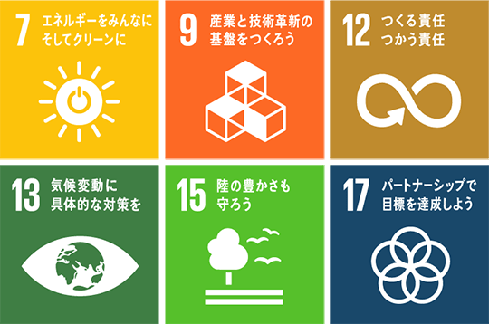 SDGs